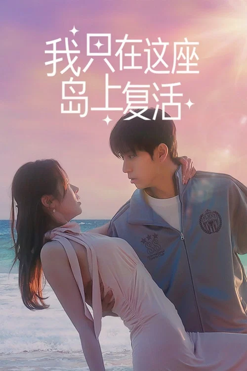 这座岛(2026)海报