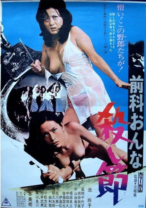 杀人记忆(1973)海报
