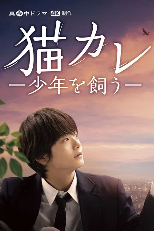 我养了个少年(2023)海报