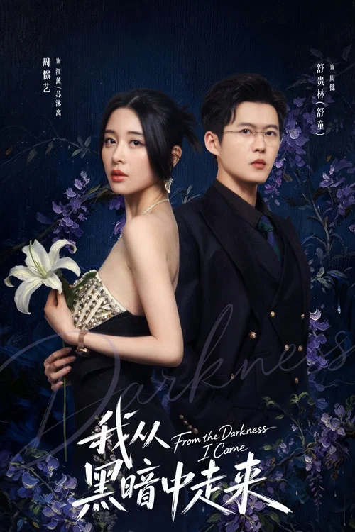 我从黑暗中走来(2026)海报