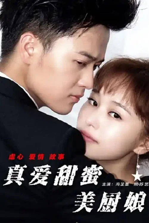 真爱甜蜜美厨娘(2017)海报