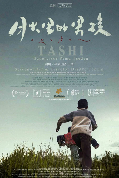 月光里的男孩剧照4