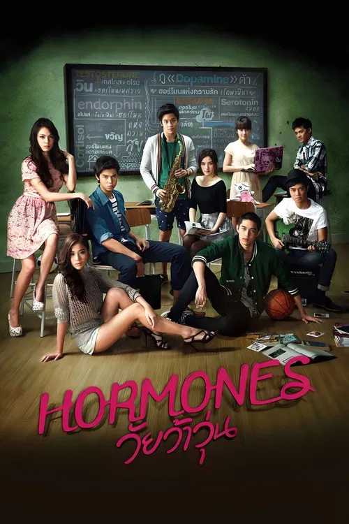荷尔蒙(2013)海报