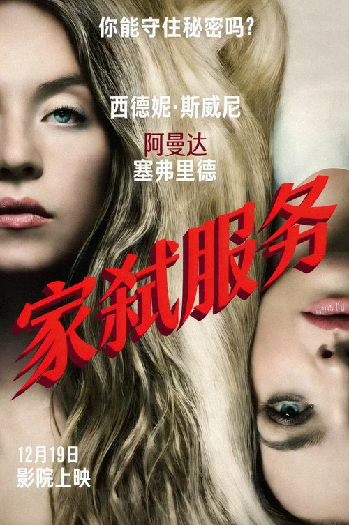 家弑服务剧照2