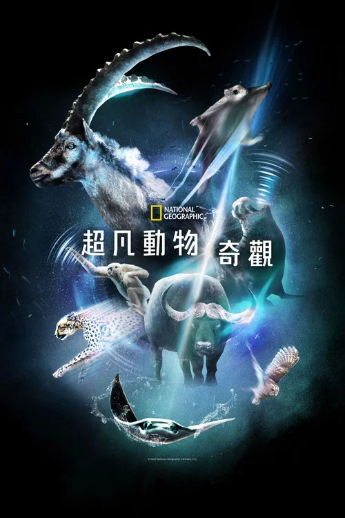 超凡动物奇观(2022)海报