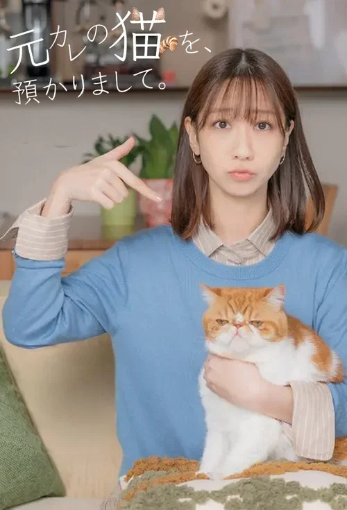 我收留了前男友的猫(2026)海报
