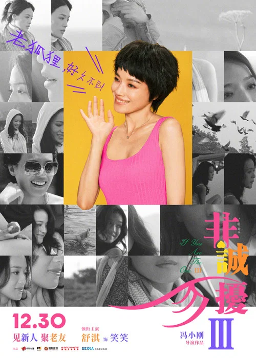 非诚勿扰3剧照15