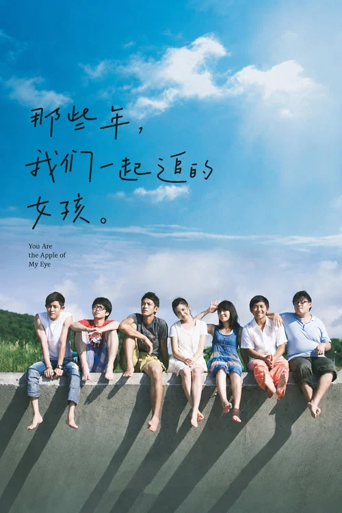 那些年,我们一起追的女孩(2011)海报