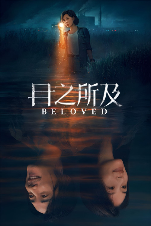 目之所及剧照6
