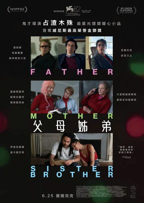 父母姐弟(2025)海报