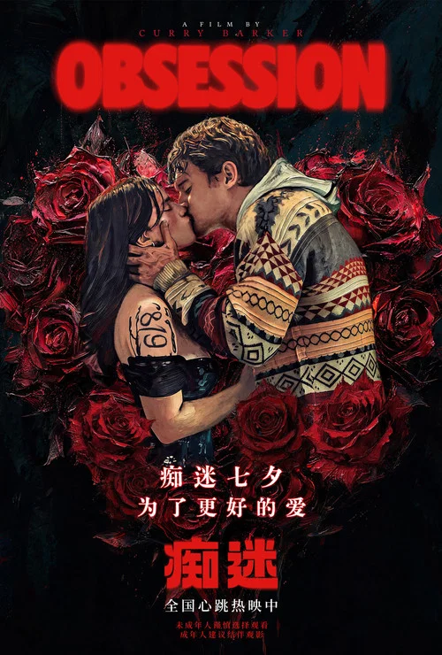 痴迷剧照14