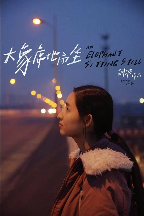 大象席地而坐剧照3