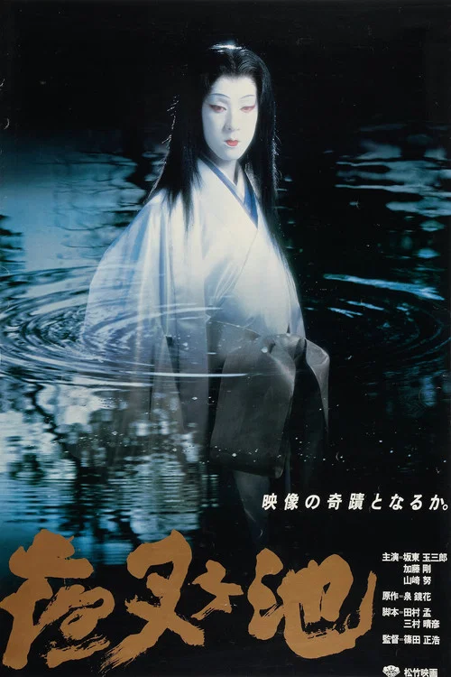 夜叉池(1979)海报