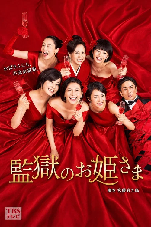 监狱的公主大人(2017)海报
