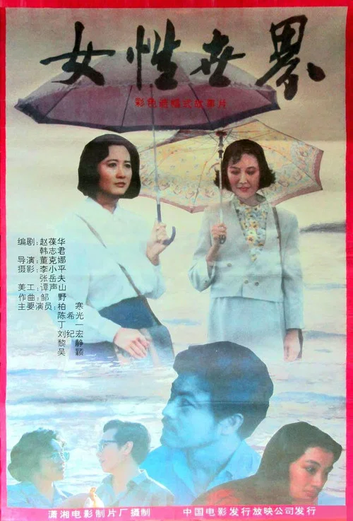 女性世界(1991)海报