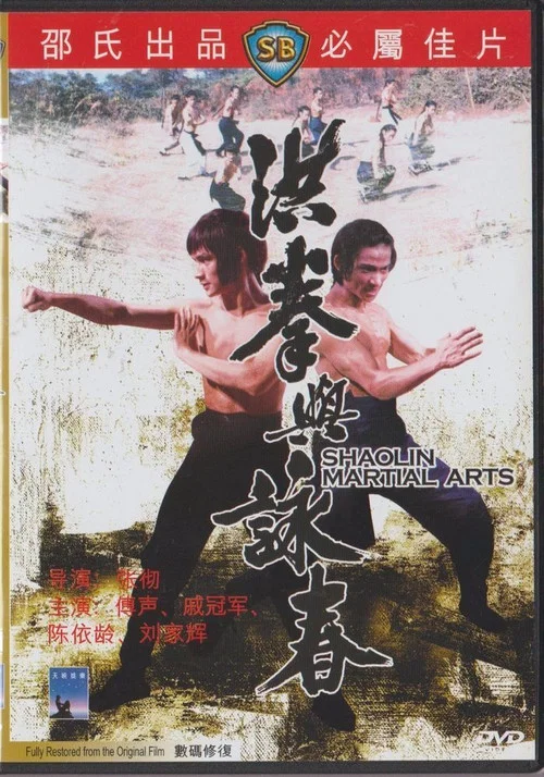 洪拳与咏春剧照5