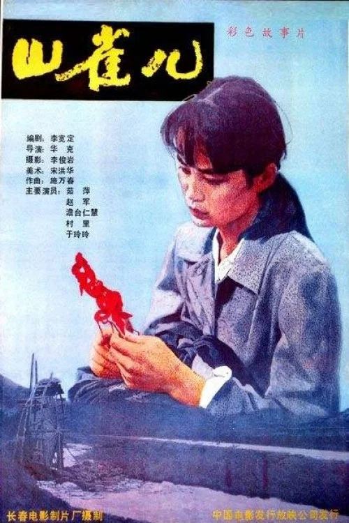 山雀儿(1987)海报