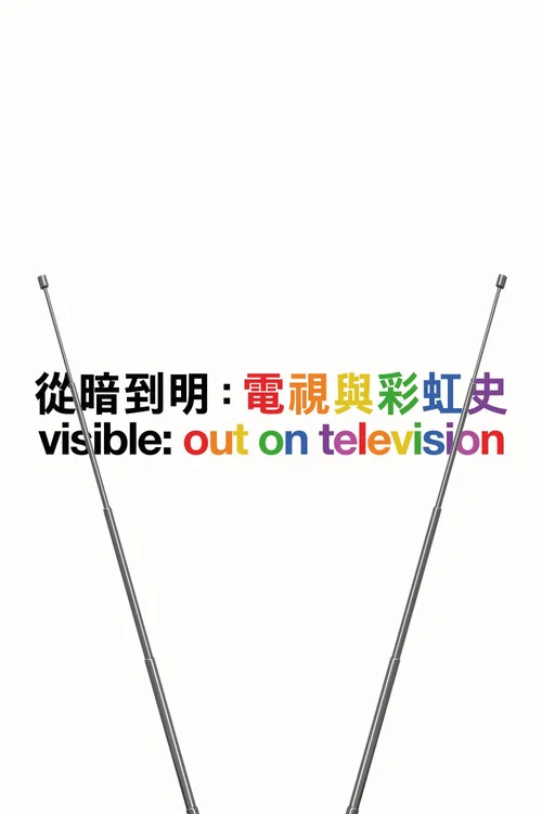 从暗到明：电视与彩虹史(2020)海报