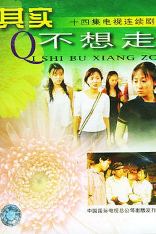 其实不想走(2001)海报