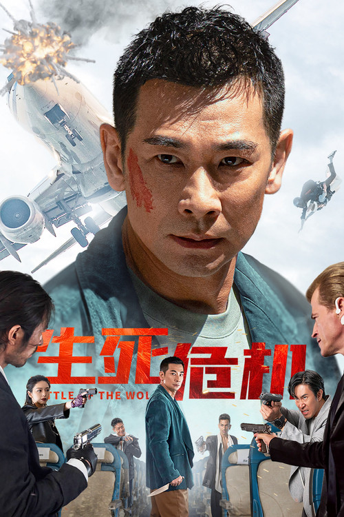 生死危机(2025)海报