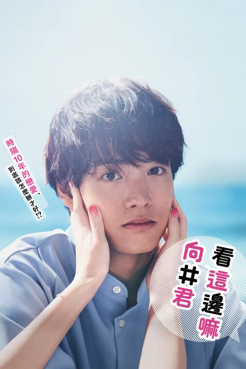 往这边看 向井君(2023)海报
