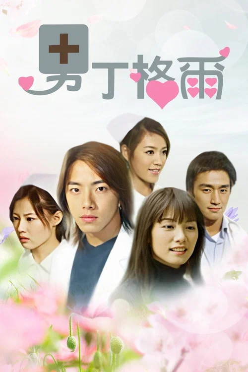 男丁格尔(2004)海报