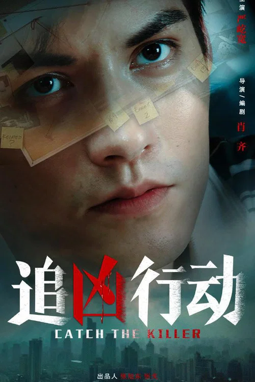 追凶行动(2026)海报