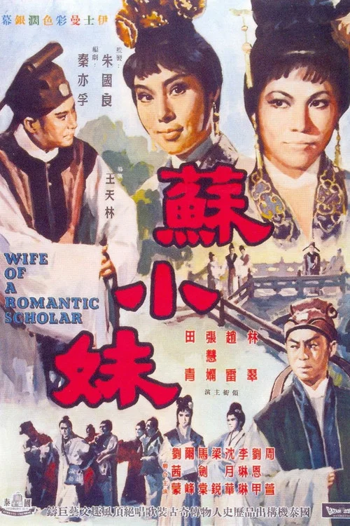 苏小妹(1967)海报