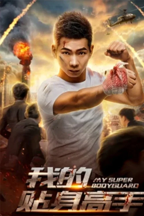 我的贴身高手(2018)海报