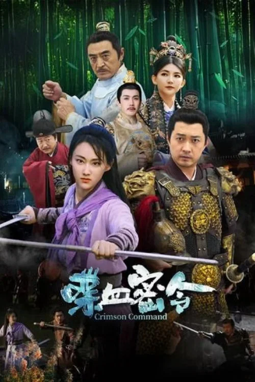 喋血密令(2024)海报