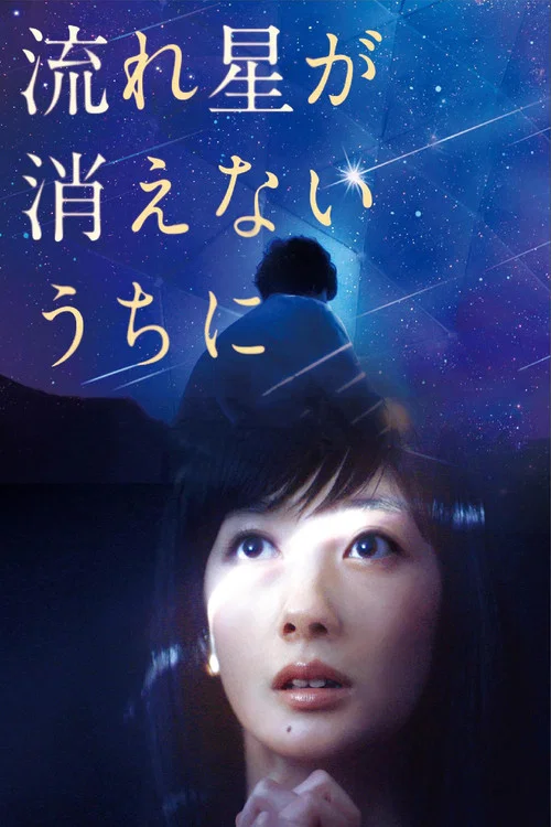 流星慢舞(2015)海报