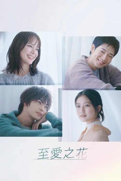 最喜欢的花(2023)海报
