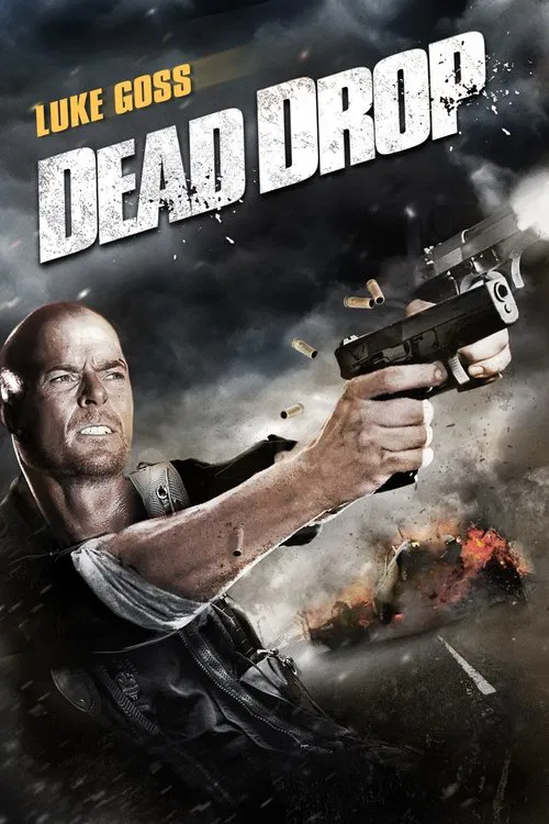真正正义之死亡降临(2013)海报