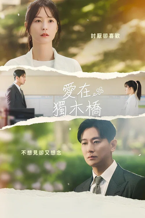 爱在独木桥(2024)海报