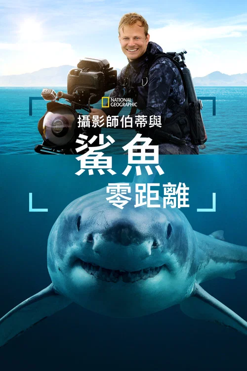 摄影师贝尔蒂与鲨鱼零距离(2025)海报