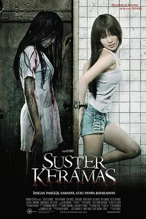 邪恶护士(2009)海报