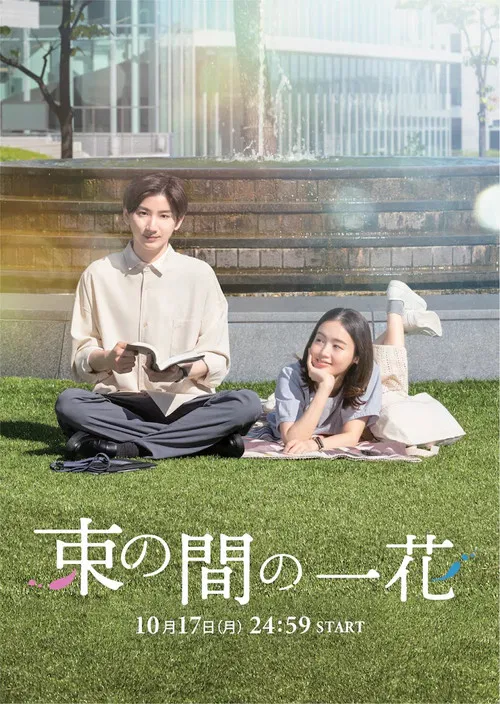 一霎一花(2022)海报