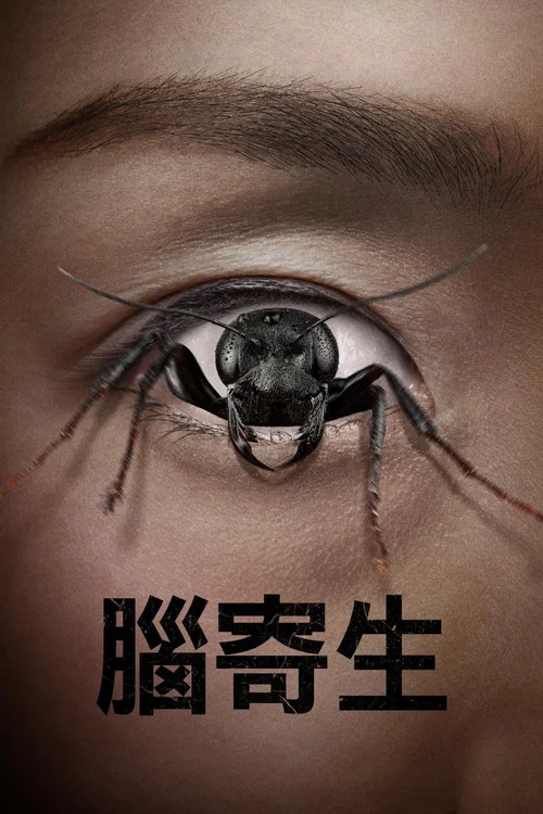 控制狂(2025)海报