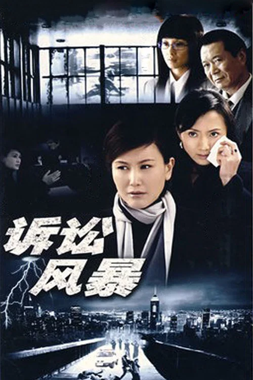 诉讼风暴(2007)海报