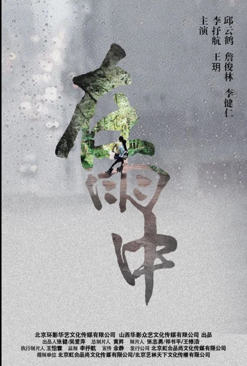 在雨中(2016)海报