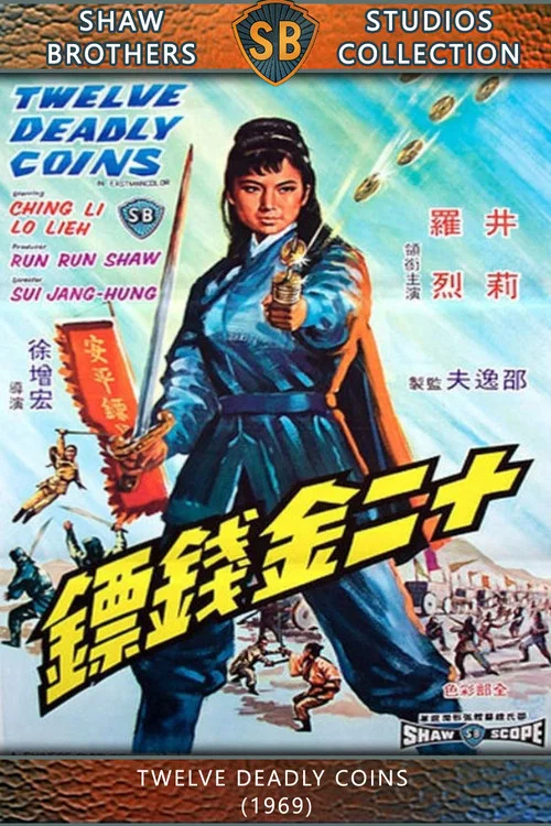十二金钱镖剧照2