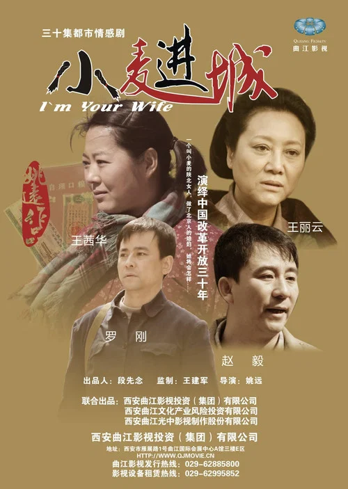 小麦进城(2012)海报