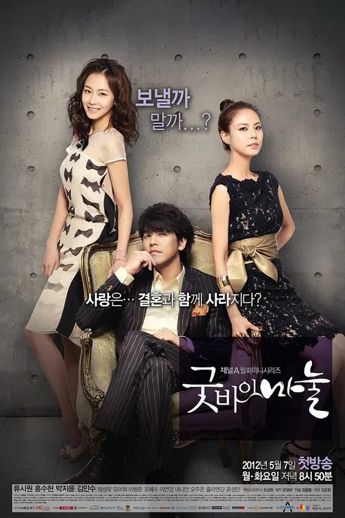 再见,老婆(2012)海报