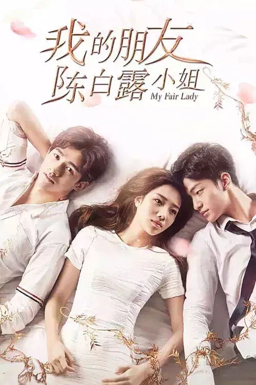 我的朋友陈白露小姐(2016)海报