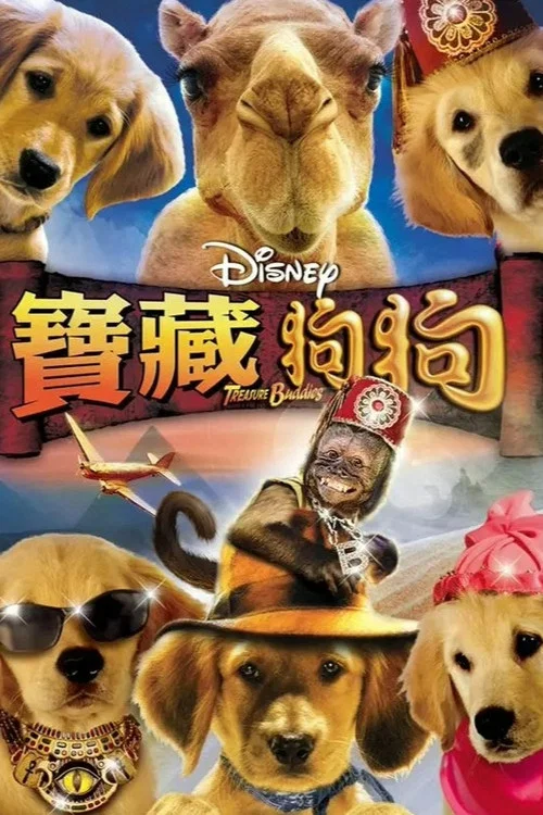 护宝巴迪(2012)海报