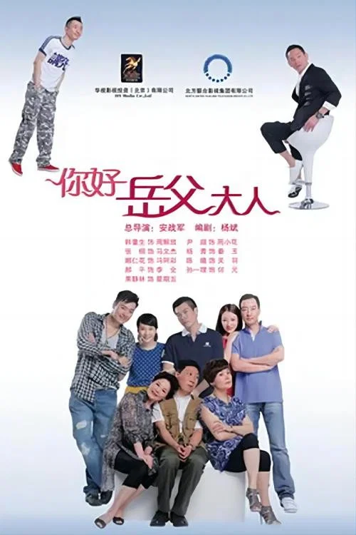 家事也是事(2013)海报
