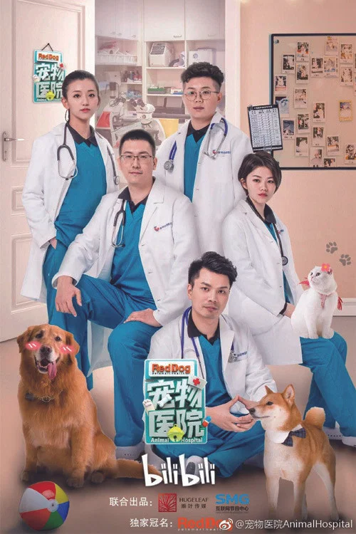 宠物医院(2019)海报