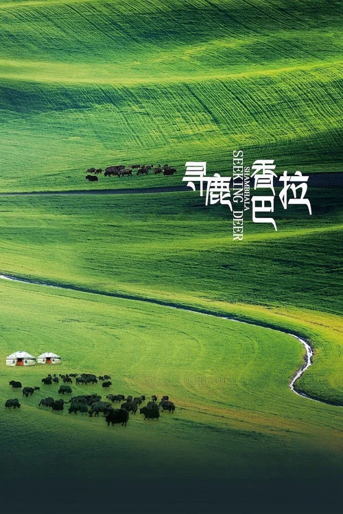 寻鹿香巴拉(2021)海报