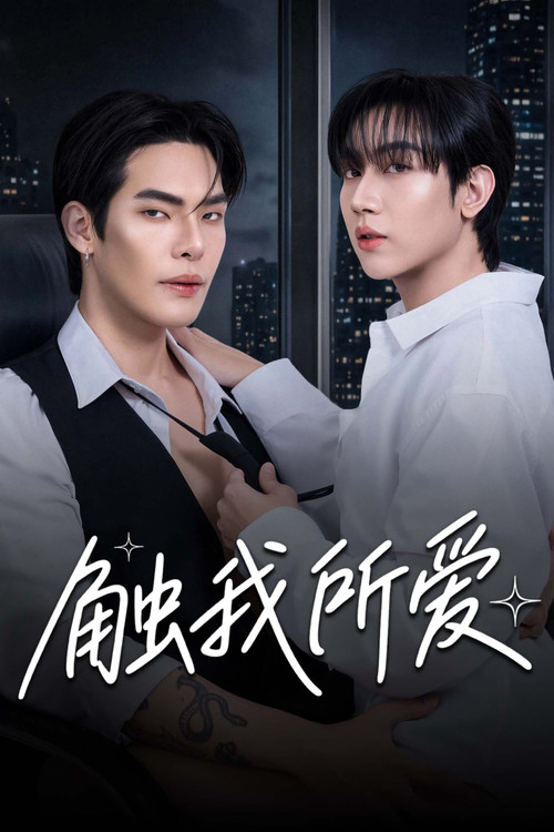触我所爱(2026)海报