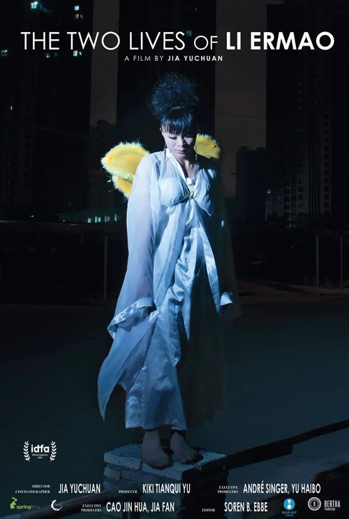 二毛(2019)海报